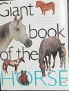 Giant Book of the Horse - chartwell books, Lin Esposito