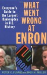 What Went Wrong at Enron: Everyone's Guide to the Largest Bankruptcy in U.S. History - Peter C. Fusaro, Ross M. Miller