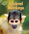 Squirrel Monkeys - Rachel Lynette