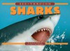 See-Through Sharks - Steven Parker, Steven Parker