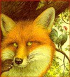 The Fox and the Rooster (Little Dipper Books) - Charles Santore