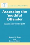 Assessing the Youthful Offender: Issues and Techniques - Robert D. Hoge