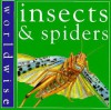 Insects and Spiders - Penny Clarke