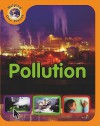 Pollution - Sally Morgan