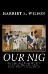 Our Nig; Or, Sketches from the Life of a Free Black in a Two-Story White House, North - Harriet E. Wilson