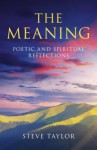 The Meaning - Steve Taylor