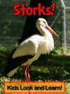 Storks! Learn About Storks and Enjoy Colorful Pictures - Look and Learn! (50+ Photos of Storks) - Becky Wolff