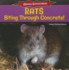 Rats: Biting Through Concrete! - Emma Carlson Berne