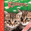 Little Lives: Kittens: A pop-up life journey - Catherine Allison