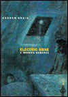 Electric Brae - Andrew Greig