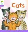 Oxford Reading Tree: Stage 1+: Floppy's Phonics Fiction [Class Pack of 36] - Roderick Hunt, Alex Brychta