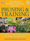 RHS Pruning and Training (Rhs) - David Joyce, Christopher Brickell