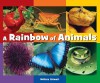 A Rainbow of Animals - Melissa Stewart