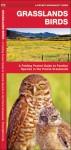 Grasslands Birds: A Folding Pocket Guide to Familiar Species found in Prairie Grasslands - James Kavanagh, Raymond Leung