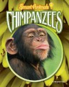 Chimpanzees - Margaret Fetty