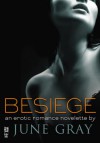 Besiege (Disarm #2) - June Gray