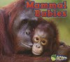 Mammal Babies - Catherine Veitch