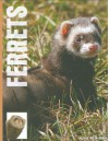 Ferrets - Vickie Mckimmey