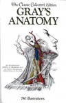 Gray's Anatomy - Henry Gray