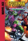 Spider-Man (Marvel Age): The Grotesque Adventure of the Green Goblin! - Mike Raicht, Stan Lee, Steve Ditko