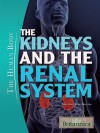 The Kidneys and the Renal System - Britannica Educational Publishing, Kara Rogers