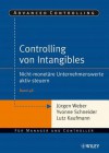 Controlling Von Intangibles: Nicht-Monetre Unternehmenswerte Aktiv Steuern - Jürgen Weber, Yvonne Schneider, Lutz Kaufmann