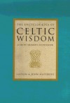 The Encyclopaedia of Celtic Wisdom: The Celtic Shaman's Sourcebook - Caitlín Matthews, John Matthews