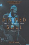 Divided Soul: The Life of Marvin Gaye - David Ritz