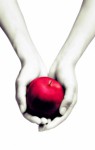 Twilight: Een levensgevaarlijke liefde - Anneliet Bannier, Maria Postema, Stephenie Meyer