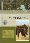 Wyoming - Rachael Hanel