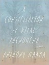 A Constellation of Vital Phenomena: A Novel