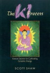 The Ki Process: Korean Secrets for Cultivating Dynamic Energy - Scott Shaw