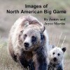 Images of North American Big Game - Joyce Martin