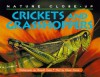 Crickets And Grasshoppers (Nature Close Up) - Elaine Pascoe