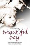 Beautiful Boy: A Father's Journey Through His Son's Crystal Meth Addiction - David Sheff