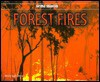 Forest Fires - Michele Ingber Drohan, Danielle Primiceri