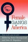 Female Gangs in America: Essays on Girls, Gangs and Gender - Meda Chesney-Lind, John M. Hagedorn