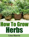 How To Grow Herbs - Lisa Harris