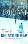 Home To Big Stone Gap - Adriana Trigiani
