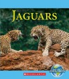 Jaguars - Vicky Franchino