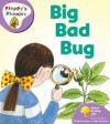 Big Bad Bug (Oxford Reading Tree: Stage 1+: More Floppy's Phonics) - Roderick Hunt, Alex Brychta