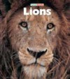 Lions - Sandra Lee