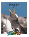 Penguins (Zoobooks Series) - John Bonnett Wexo