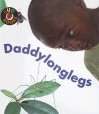 Daddy Longlegs (Bug Books) - Catherine Anderson