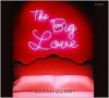 The Big Love - Sarah Dunn, Eliza Foss