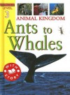 Animal Kingdom: Ants to Whales - Sally Hewitt