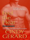 Feel the Heat (Black Ops, #4) - Cindy Gerard