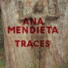 Ana Mendieta: Traces - Stephanie Rosenthal