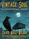 Vintage Soul - David Niall Wilson