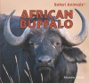 African Buffalo - Maddie Gibbs